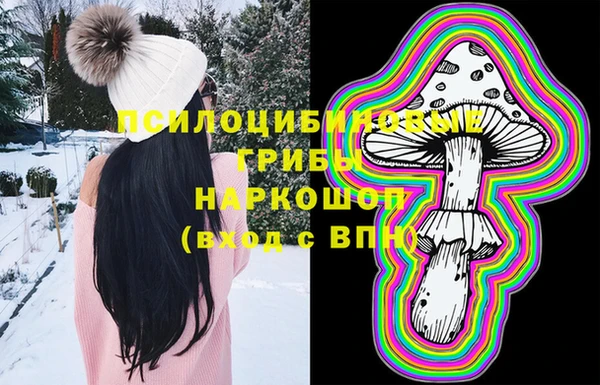 гашик Балахна